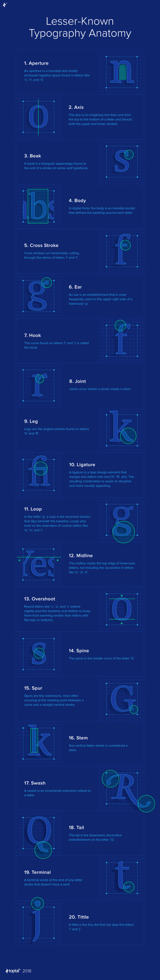 Lesser-known typography terms infographic