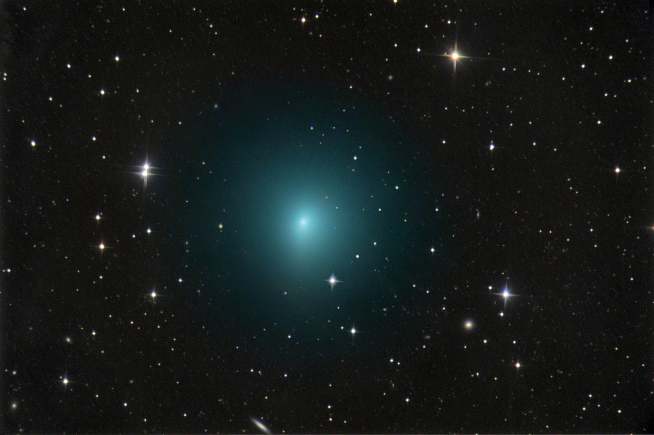 Comet 41P