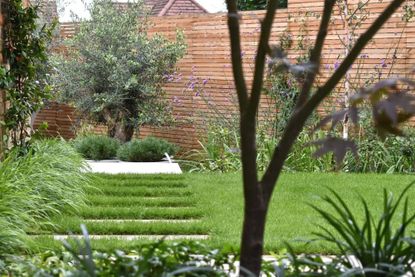 a lawn garden with pavers