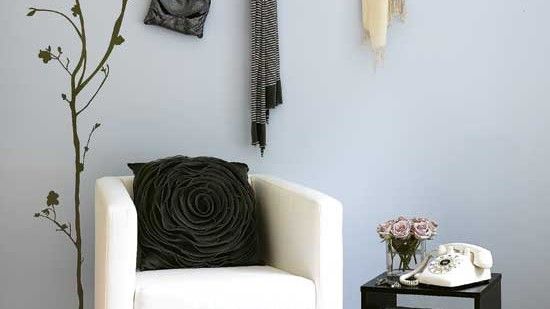 room with plant printed blue wall and white sofaset