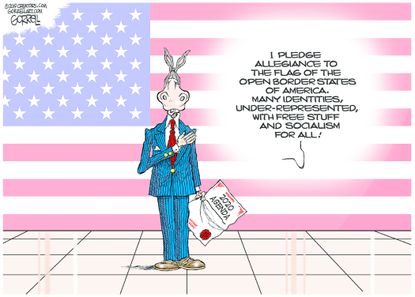 Political Cartoon U.S. Democrats 2020 Agenda Open Border Socialism