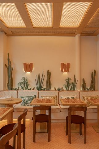 A modernly furnished restaurant inspired by Mexico's street-food tradition features lush cacti, pastel-shaded furniture, and an intimate ambiance.