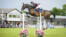 Showjumper Mark Edwards on Tinkers Tale who sired many of his home-breds