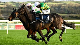 Fact To File, near, with Mark Walsh up, races alongside eventual first place Gaelic Warrior, behind, with Paul Townend up, on their way to finishing second in the John Durkan Memorial Punchestown Steeplechase during day two of the Punchestown Premiere Weekend at Punchestown Racecourse in Kildare. 