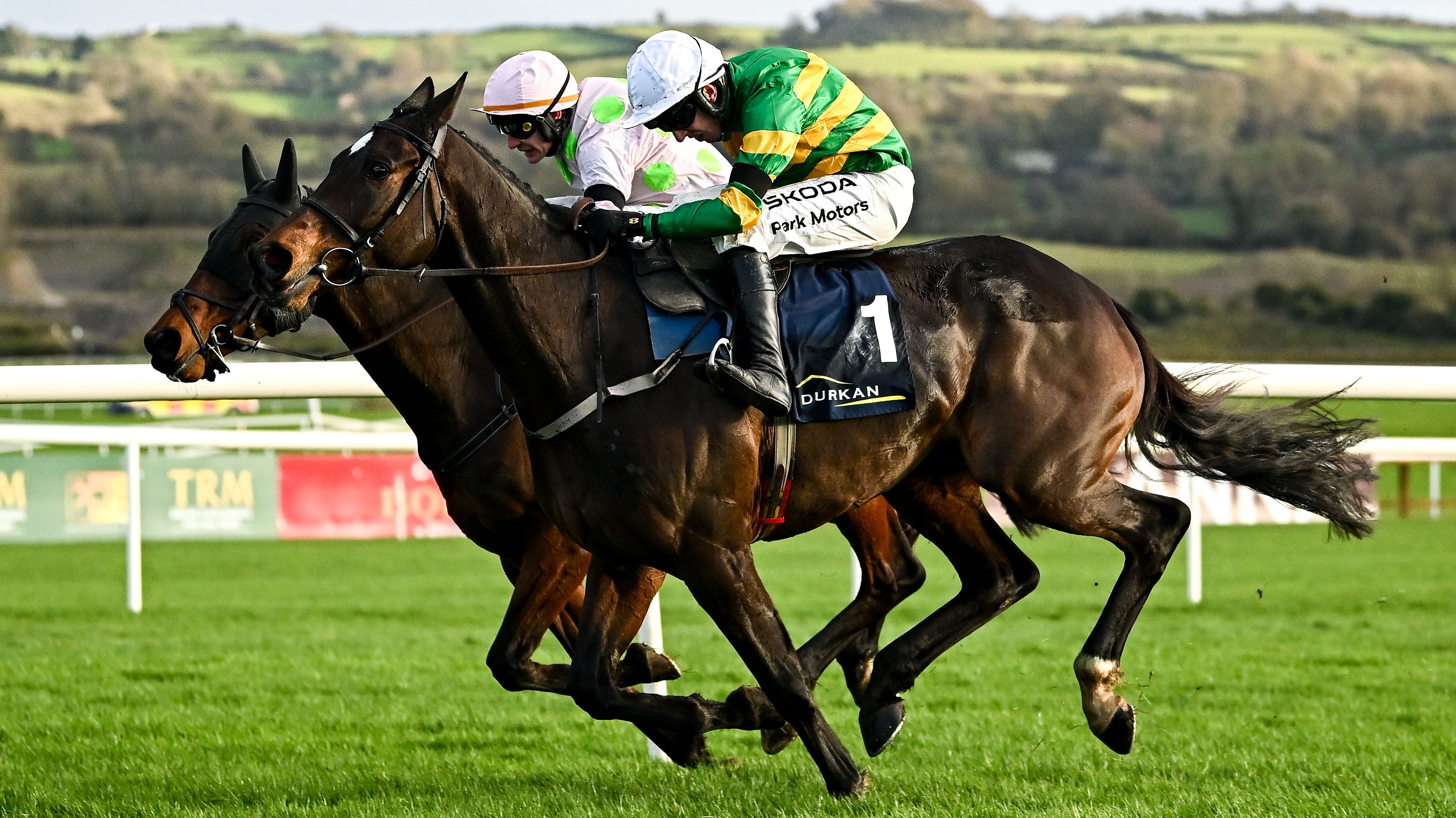 Fact To File, near, with Mark Walsh up, races alongside eventual first place Gaelic Warrior, behind, with Paul Townend up, on their way to finishing second in the John Durkan Memorial Punchestown Steeplechase during day two of the Punchestown Premiere Weekend at Punchestown Racecourse in Kildare. 