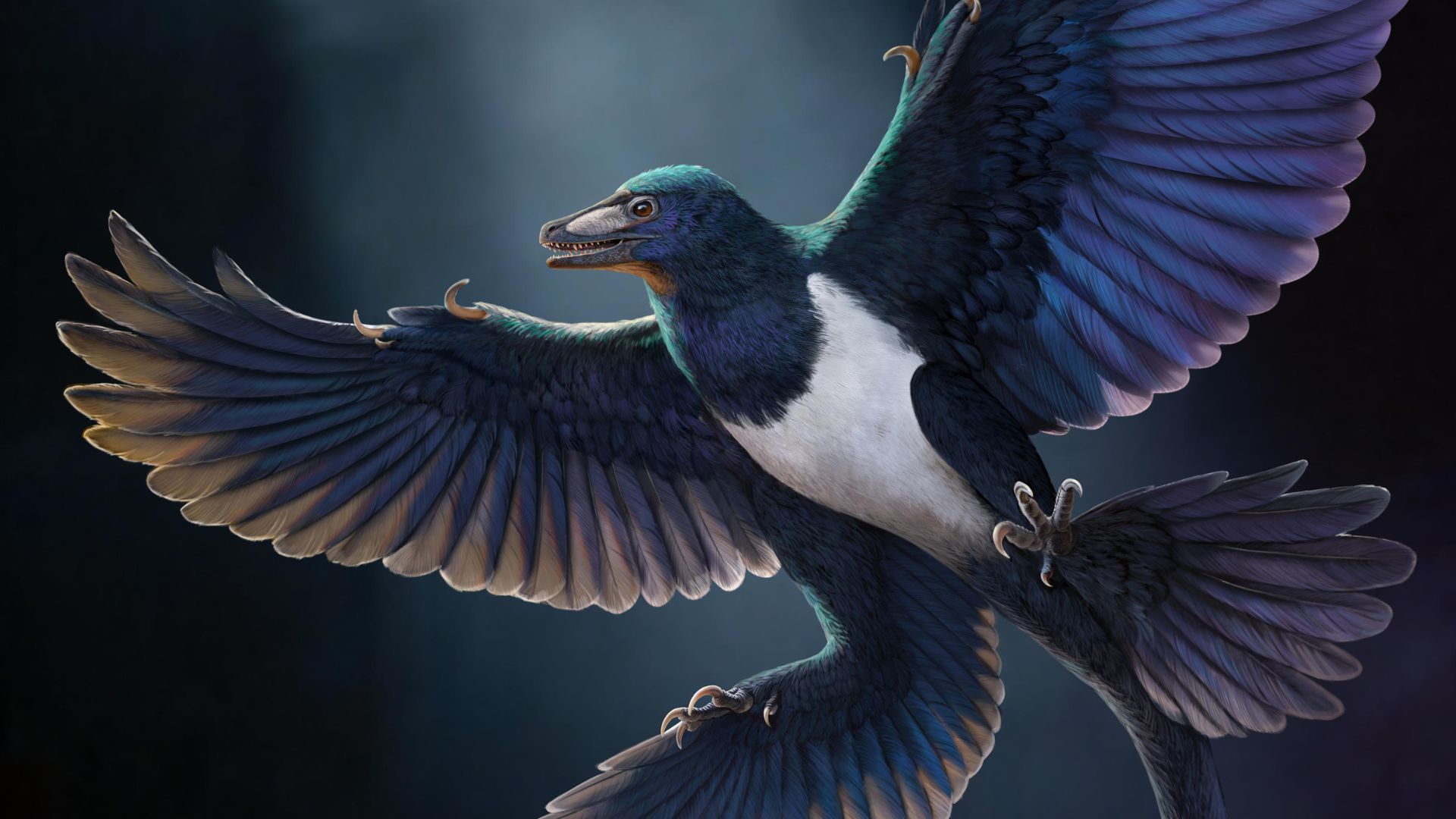 An artist's reconstruction of what Norellraptor would have looked like. 