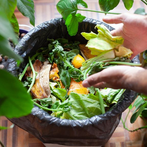 Home Composting Advantages And Disadvantages Gardening Know How