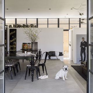 dog with black table and chairs