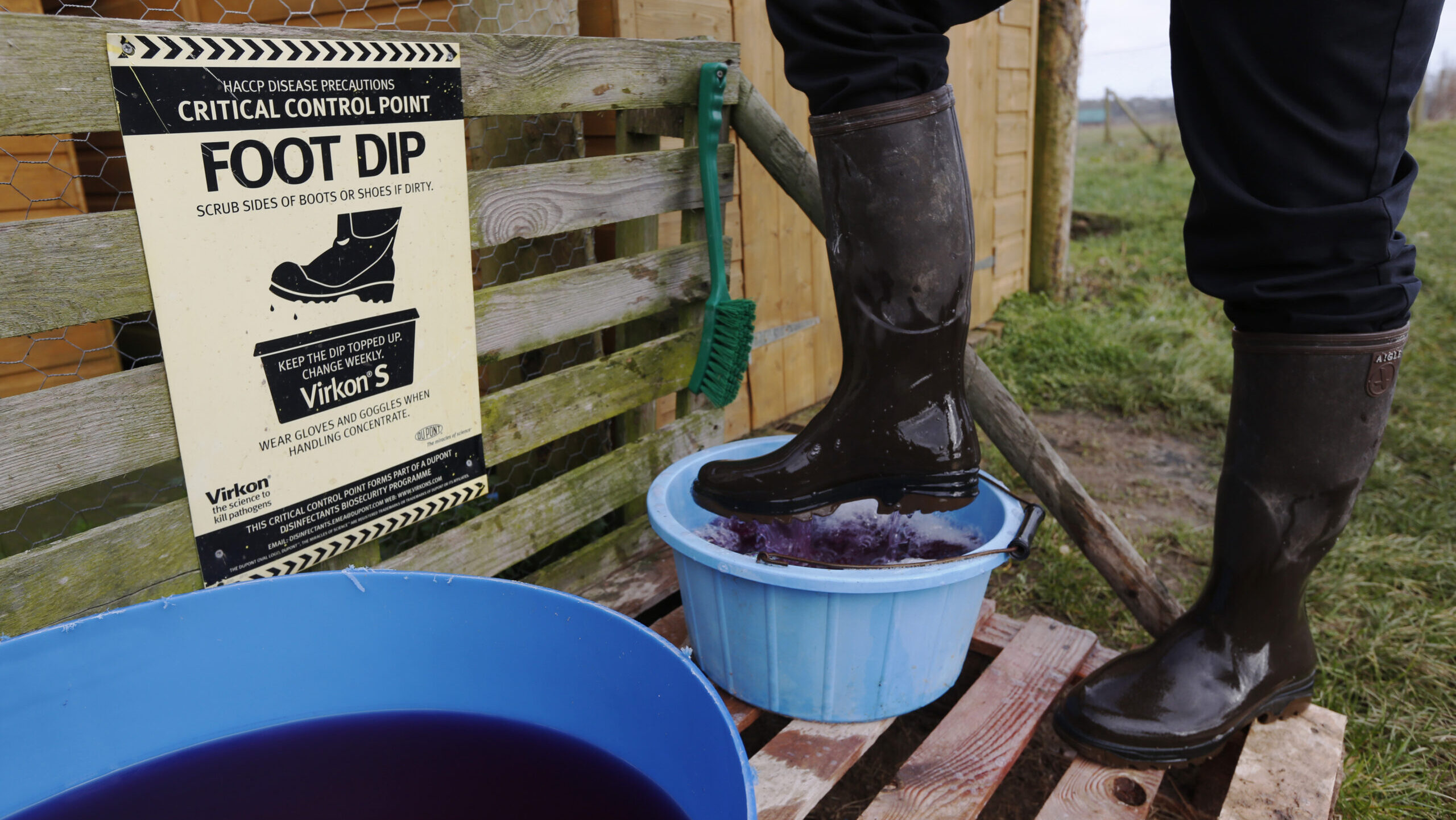 Close up of person using a footbath to prevent contamination