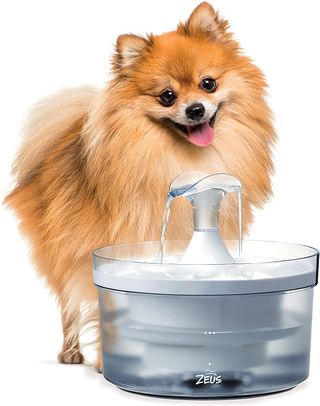 A dog drinks from a dog water fountain