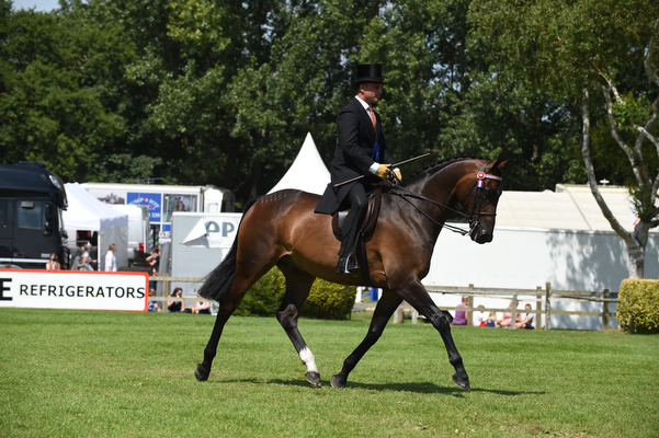 HorseNo111_RIHS15pn_30706.jpg