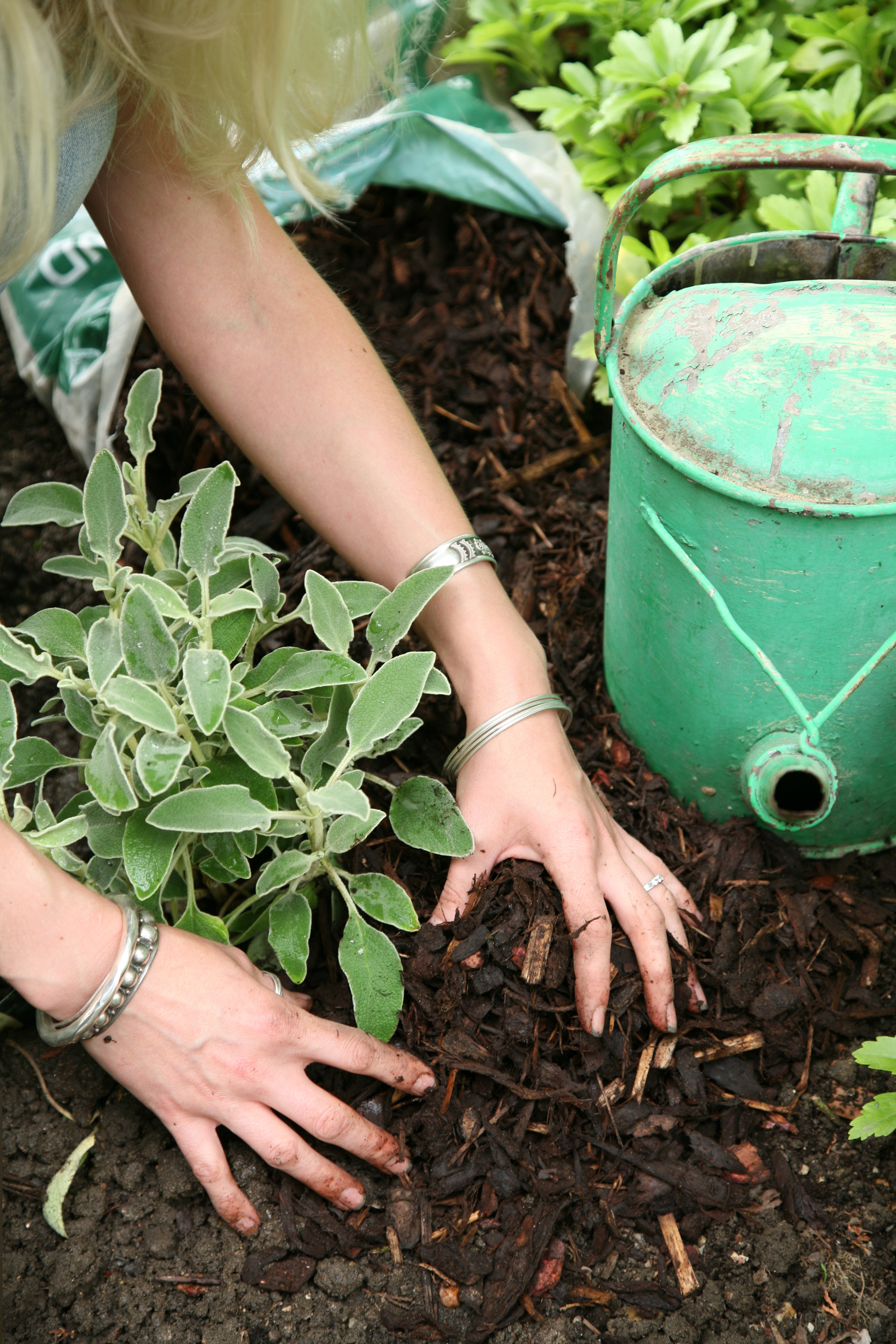 Spreading bark mulch