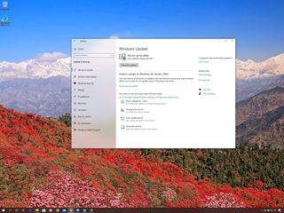 Windows 10 version 20H2, Fall 2020 Update