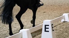 High level dressage horse riding alongside the white dressage boards