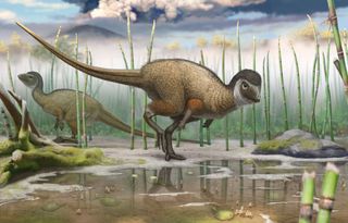 artist's reconstruction of the plant-eating dinosaur Kulindadromeus zabaikalicus.
