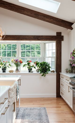 A kitchen with potted plants and vases alongside crystals