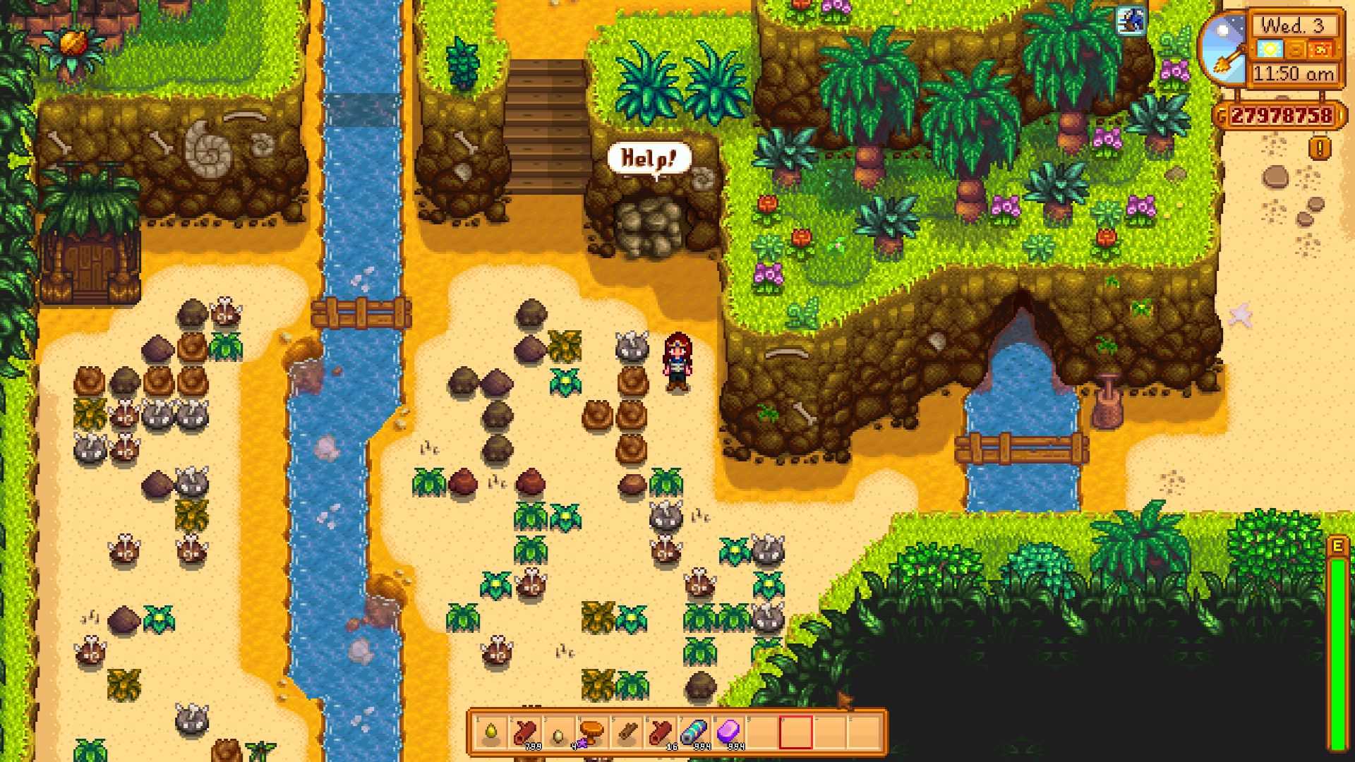 Stardew Valley золотые орехи карта. Имбирный остров Stardew Valley. Золотые орехи Стардью Валлей.