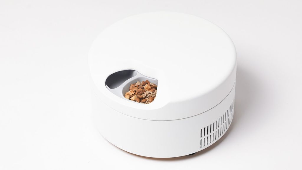 This smart wet food dispenser keeps my cat's dinner chilled and me