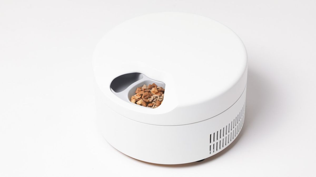 This Smart Wet Food Dispenser Keeps My Cat s Dinner Chilled And Me