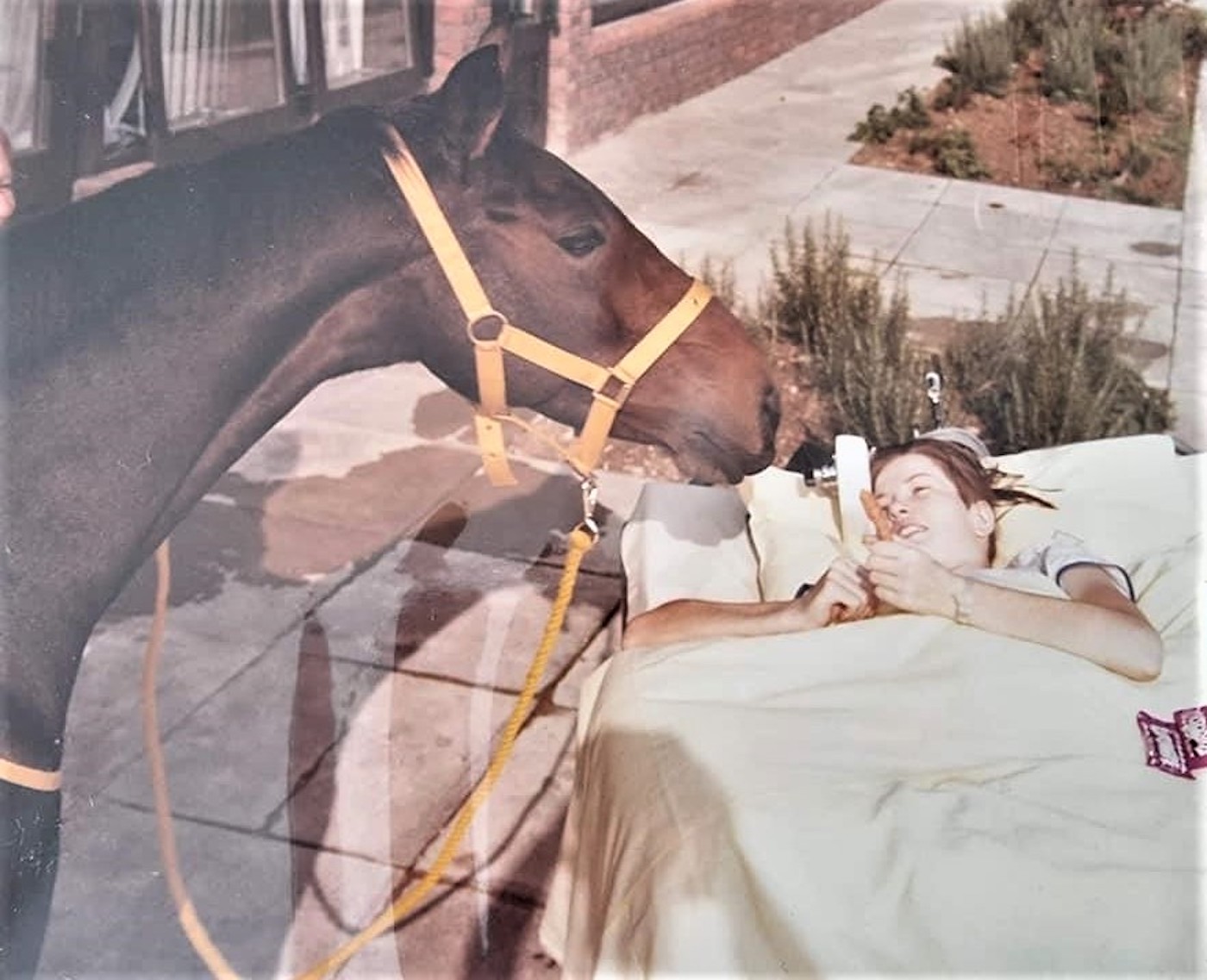 Sharon Mynard seeing her pony Scilla for the first time after her accident