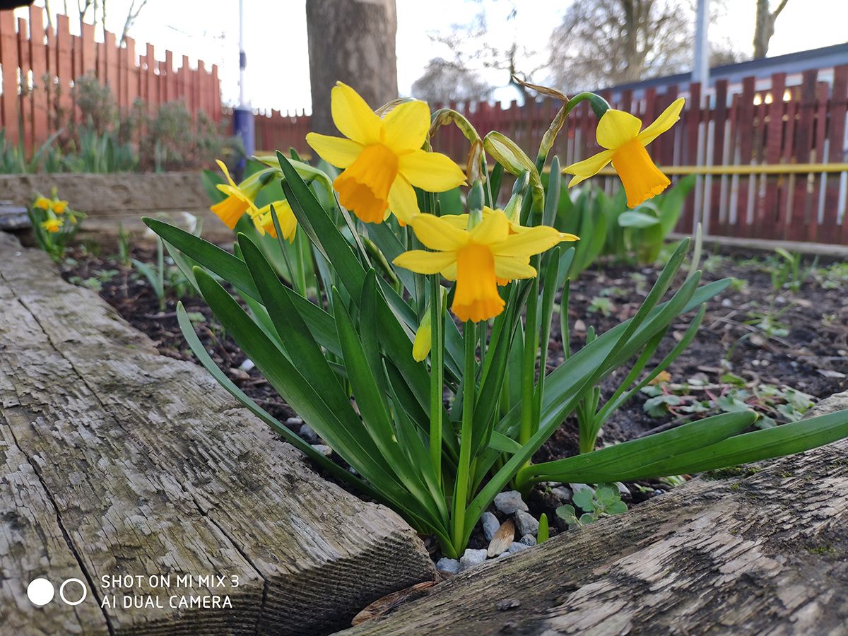 Xiaomi Mi Mix 3 camera sample