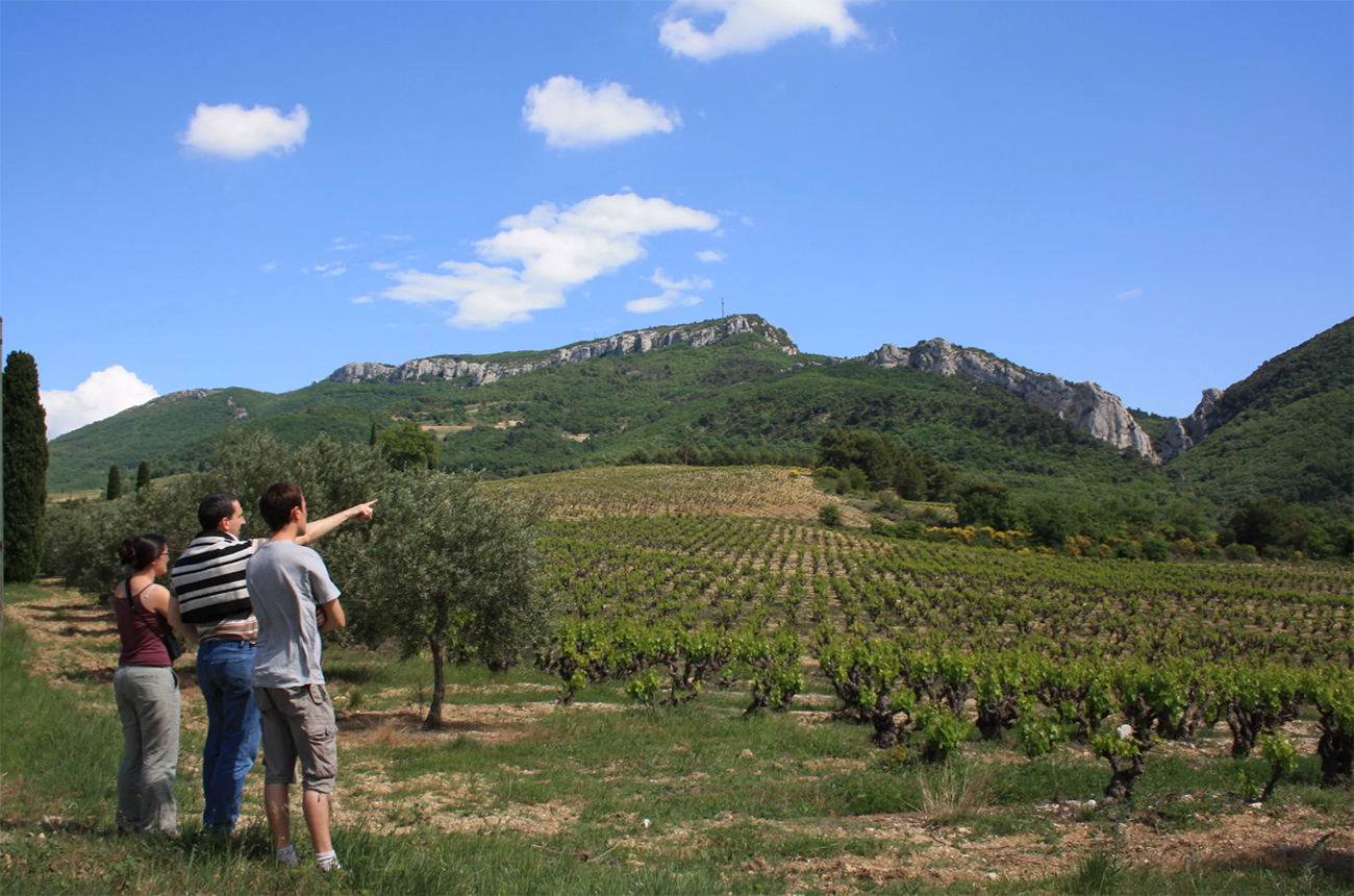 Gigondas 2013 and 2014