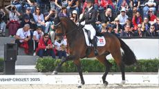Cathrine Laudrup-Dufour and Mount St John Freestyle at the 2025 European Dressage Championships.