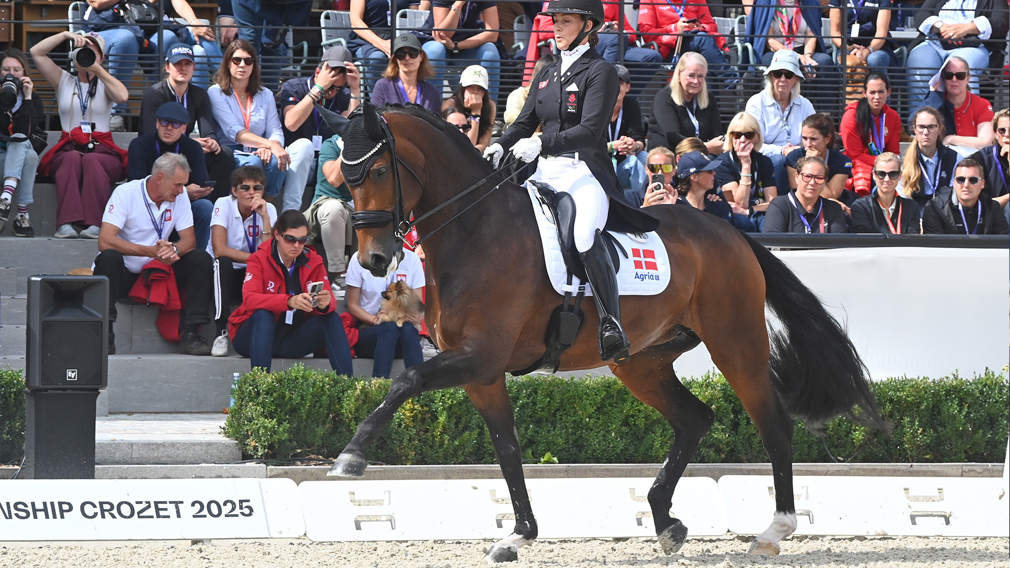 Cathrine Laudrup-Dufour and Mount St John Freestyle at the 2025 European Dressage Championships.