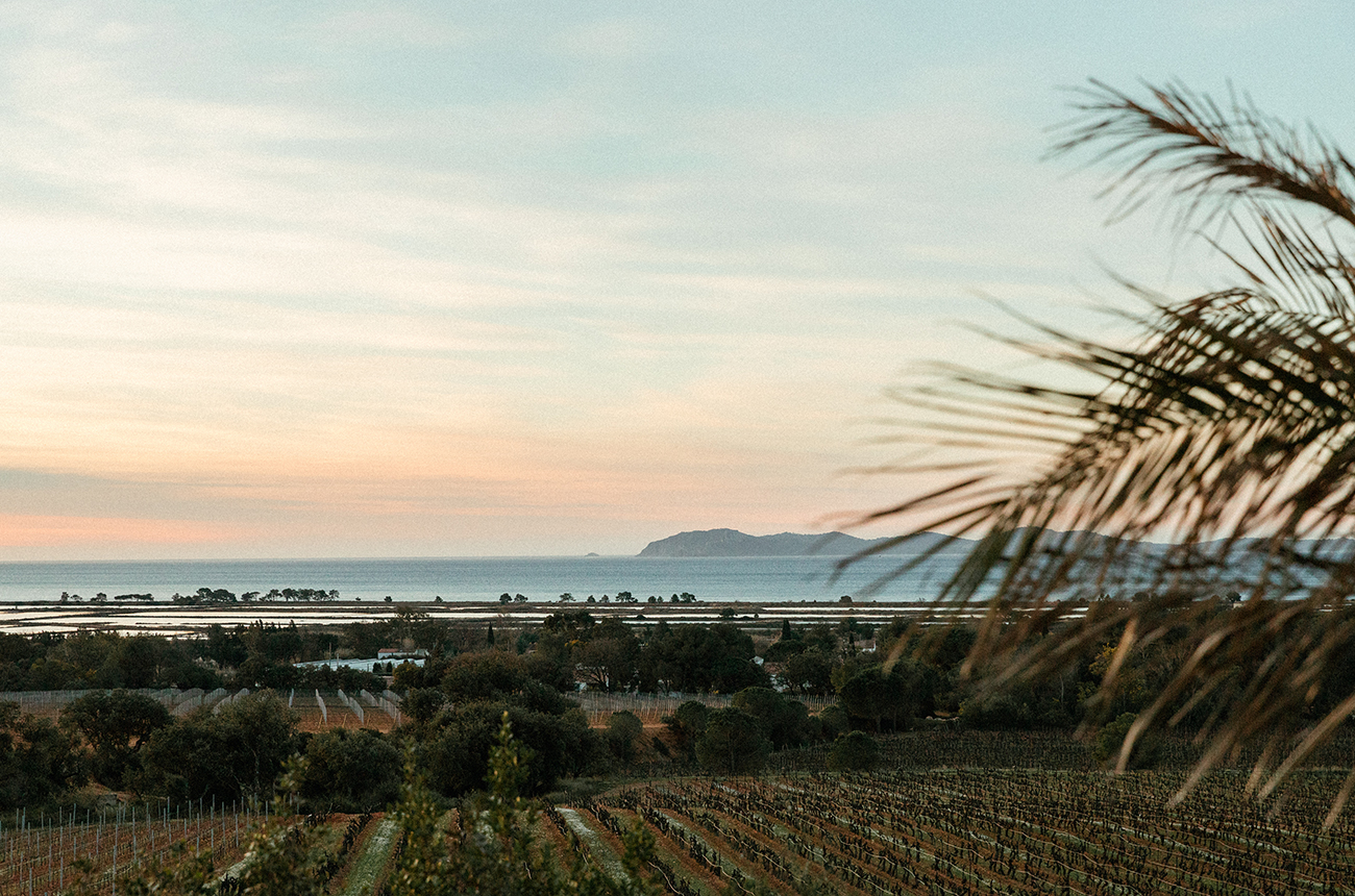 Ch&amp;acirc;teau Galoupet