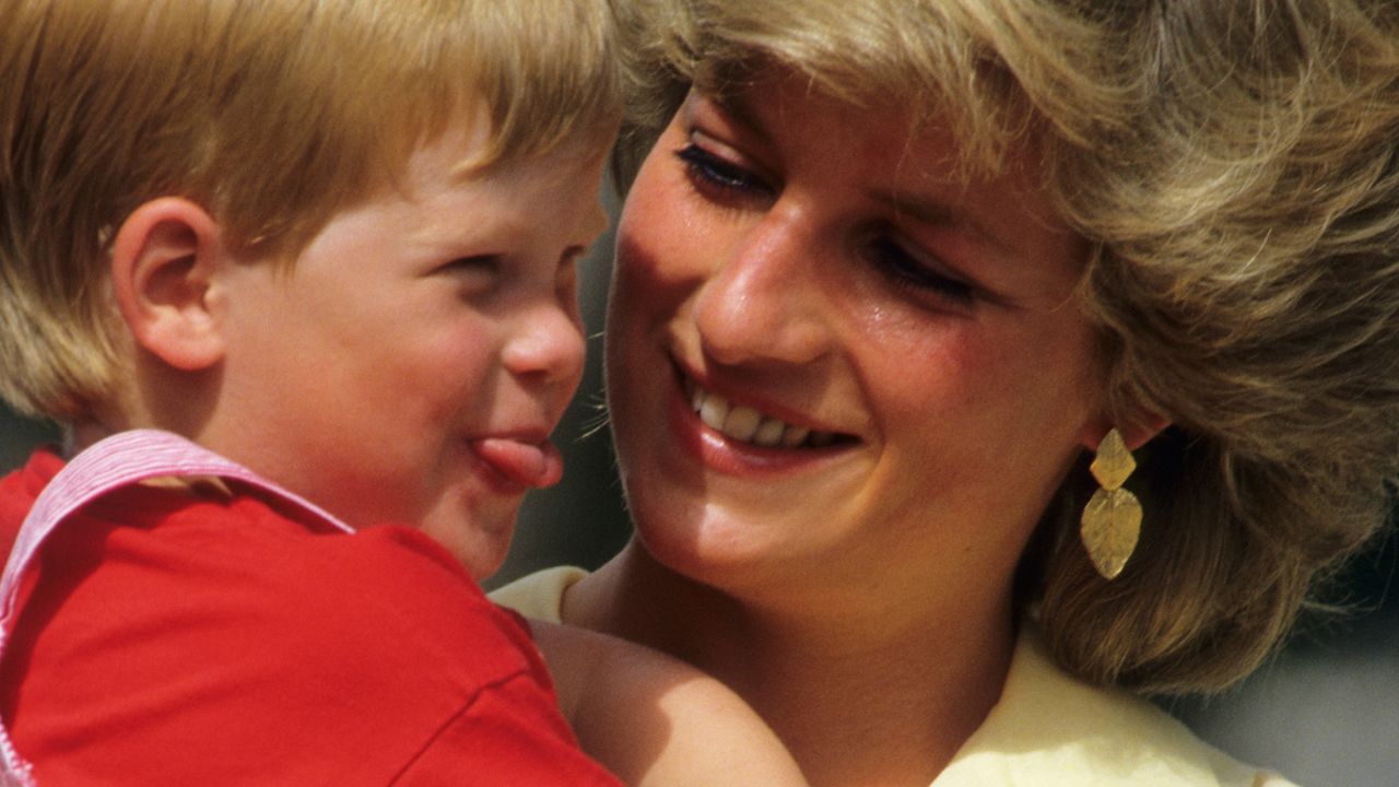 Princess Diana Prince Harry