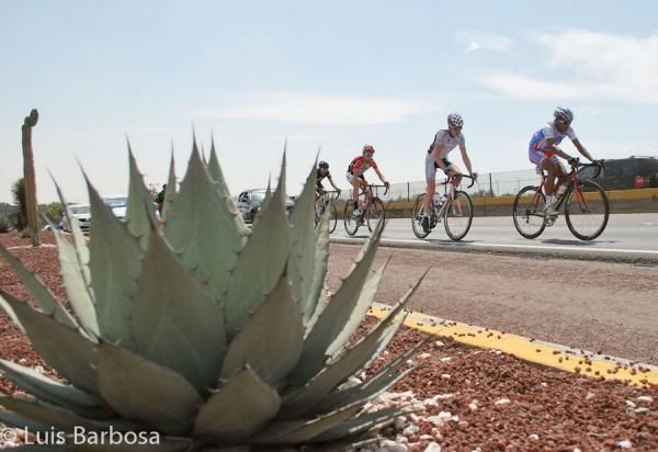 An argave plant could be a nasty hazard on the side of the road