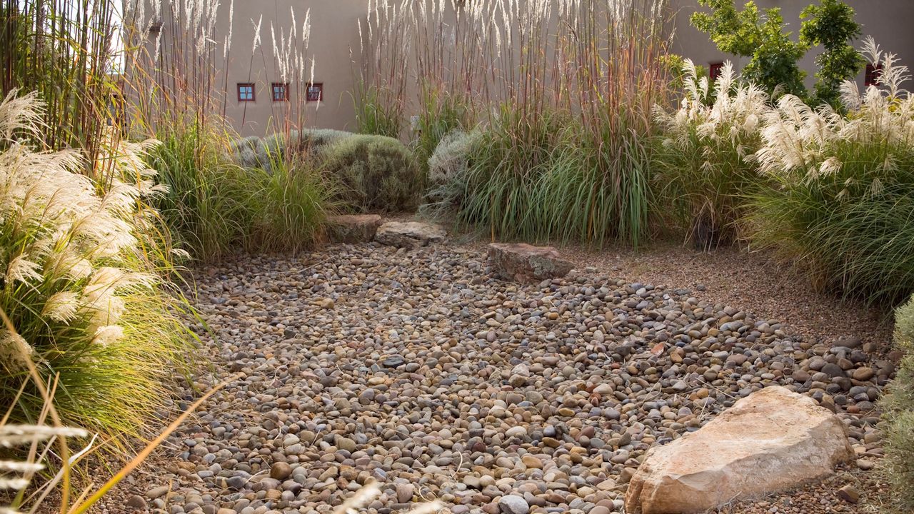 Gravel rain garden surrounded by ornamental grass with tall, feathery flowers