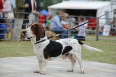 Magnum_FofHunting15pn_28830-1-e1438161256290.jpg