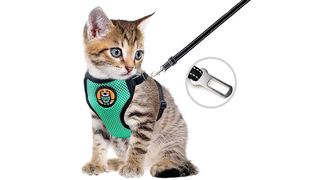 Pet car harness
