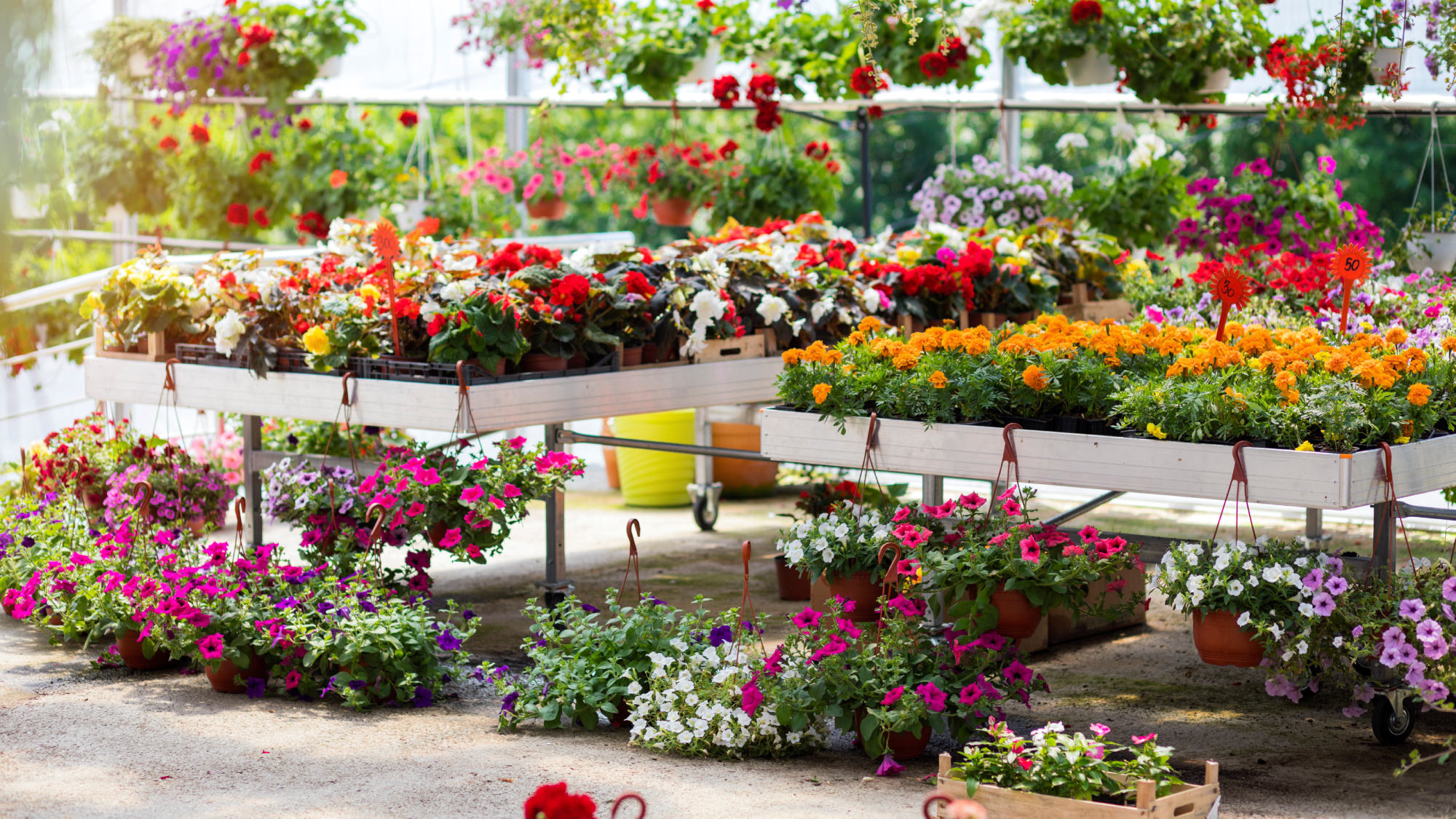 garden center 