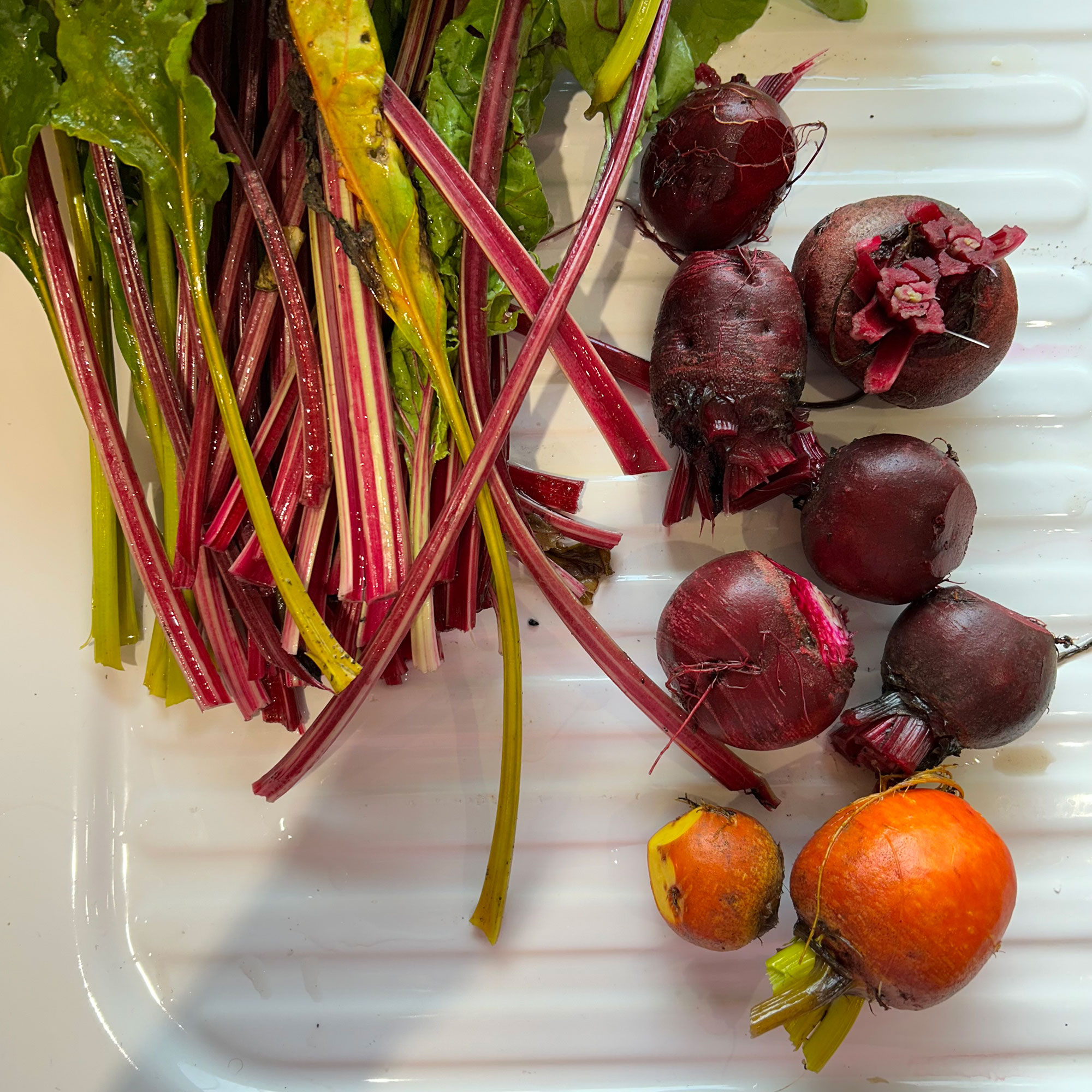 Beetroot and chard on white counter