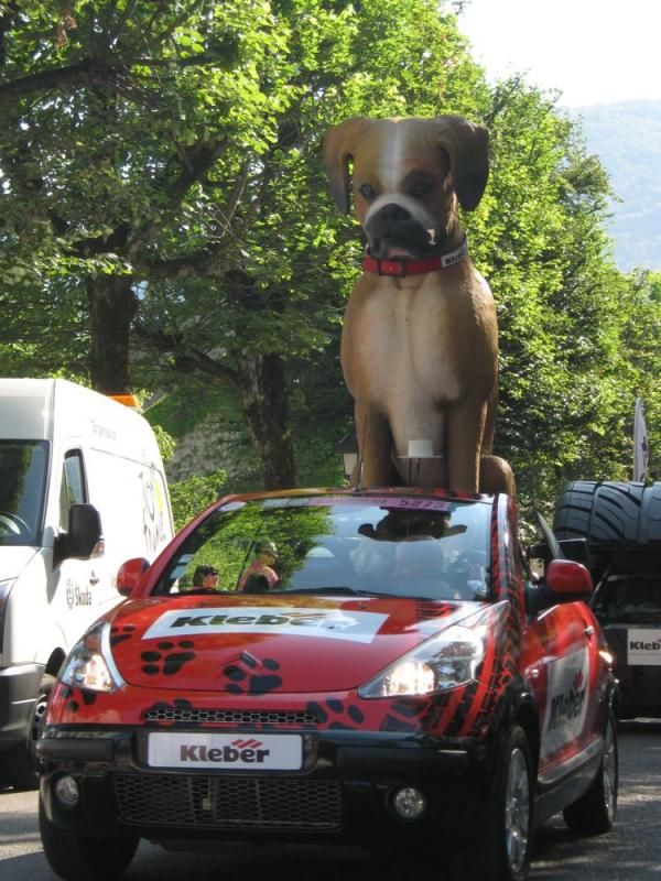This dog advertises tyres