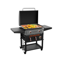 Blackstone 2-Burner 28in Griddle with Electric Air Fryer: $497