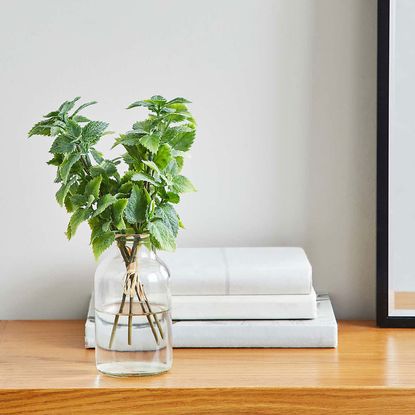 Artificial Flocked Mint Leaf Bundle on a wooden table