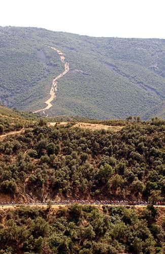 The landscape was sparsely populated