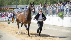 LUHMUHLEN_2019_CCI5_INSP2_GBR_RIMMER-19789.jpg