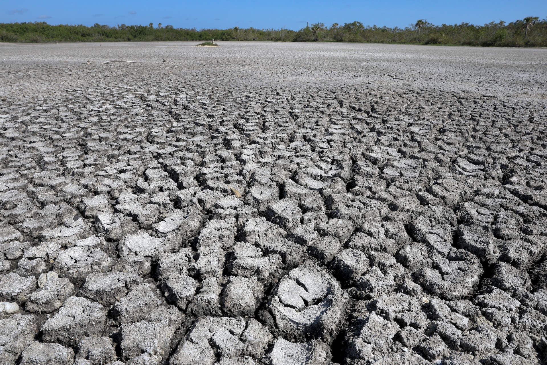 a close-up of cracked, dry dirt