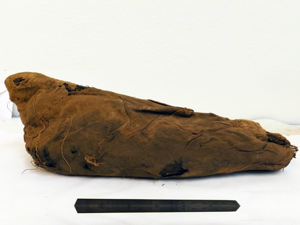 Ancient Egyptians May Have Corralled Millions of Wild Birds to Sacrifice and Turn into Mummies