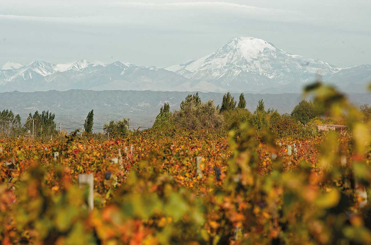 South American sparkling wines