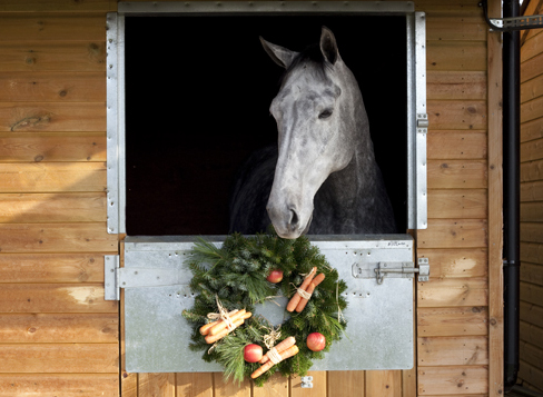 xmas-image1.jpg