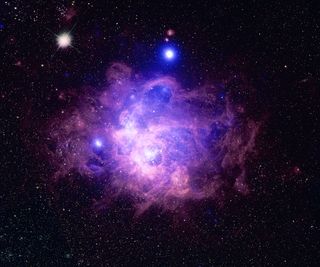 This image combines data from the Chandra X-Ray Observatory in blue and from the Hubble Space Telescope in purple of a star-forming region called NGC 604.