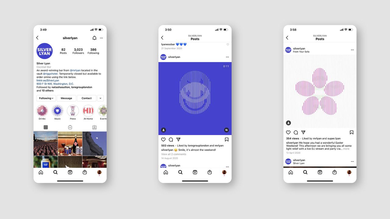 Silver Lyan visual identity
