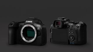 Panasonic Lumix S5 II vs Canon EOS R6 II