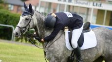 Thoroughbred census