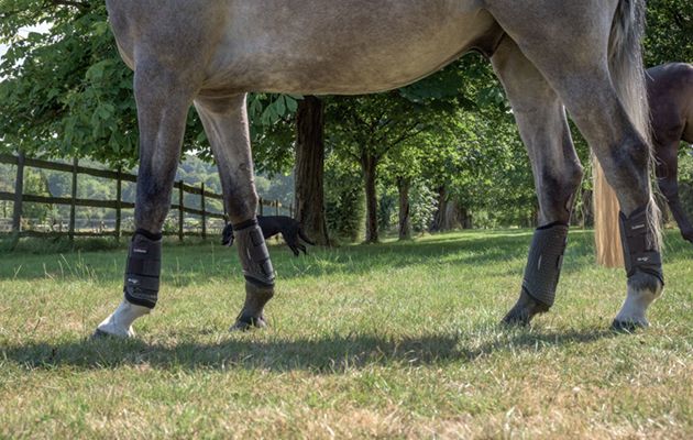 LeMieux Shoc Air XC Boots review